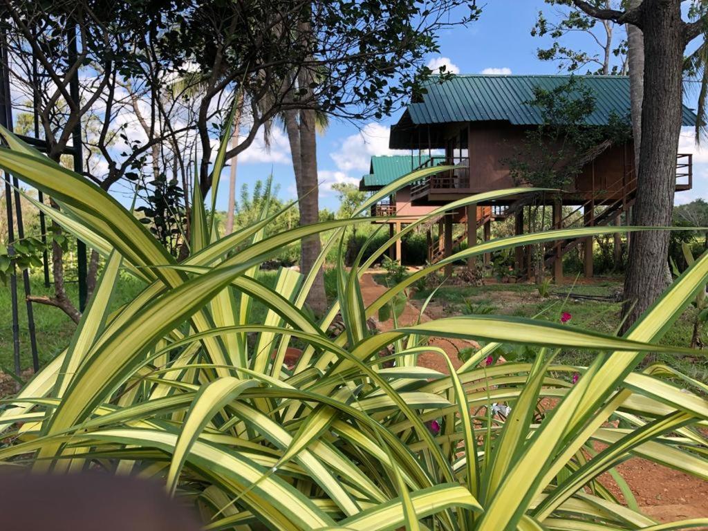 Villa Sigiriya Paddy Field Hut Extérieur photo
