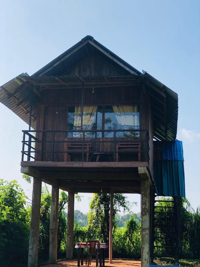 Villa Sigiriya Paddy Field Hut Extérieur photo